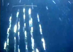 VIDEOS: Rigging a skipbait; Stripteaser demo